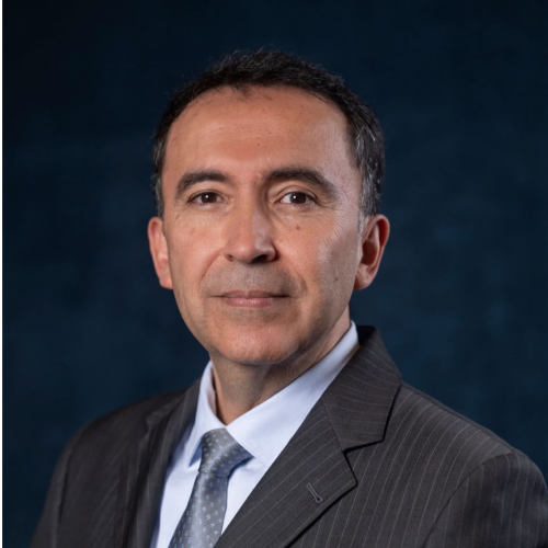 Rodrigo Zarate